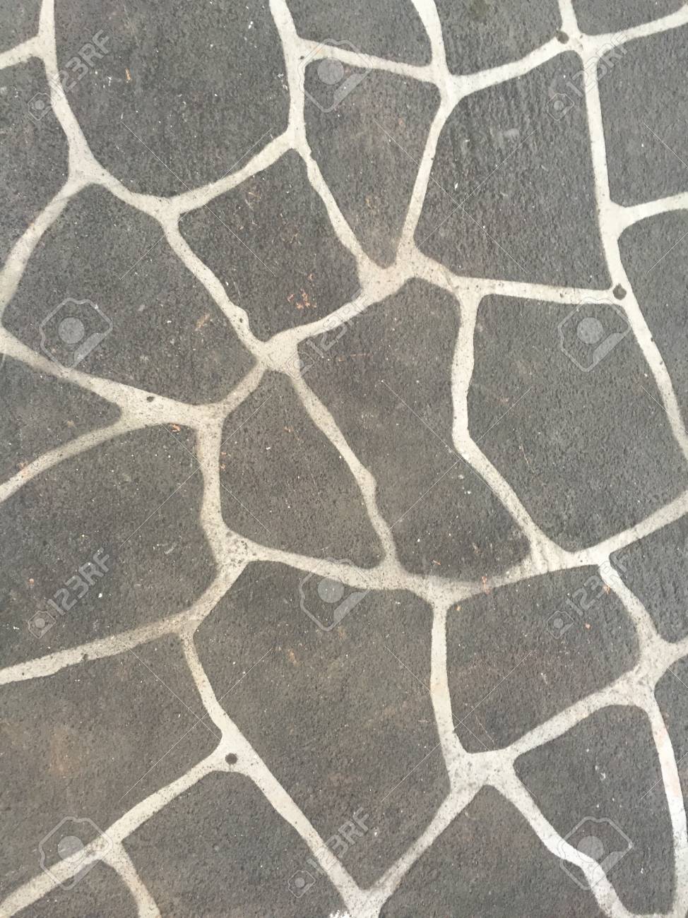 etiam-dictum-ipsum-a-felis