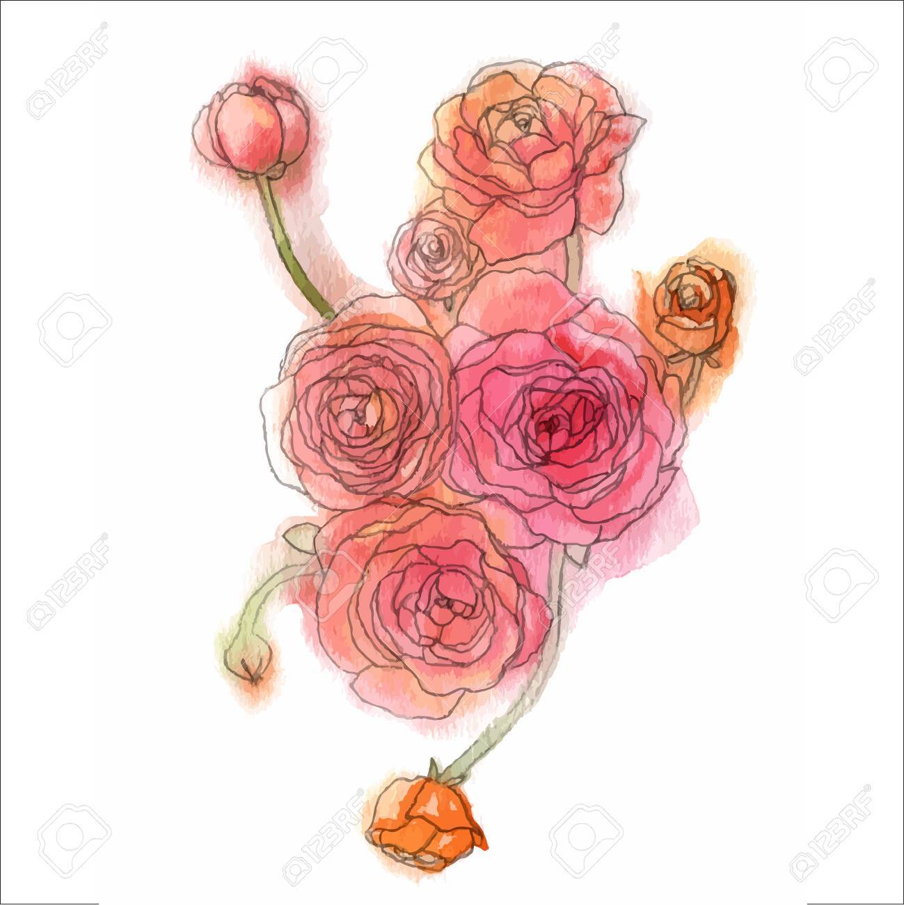 ラナンキュラス　水彩画　原画 水彩画]ラナンキュラスを描く/watercolorpainting /制作過程