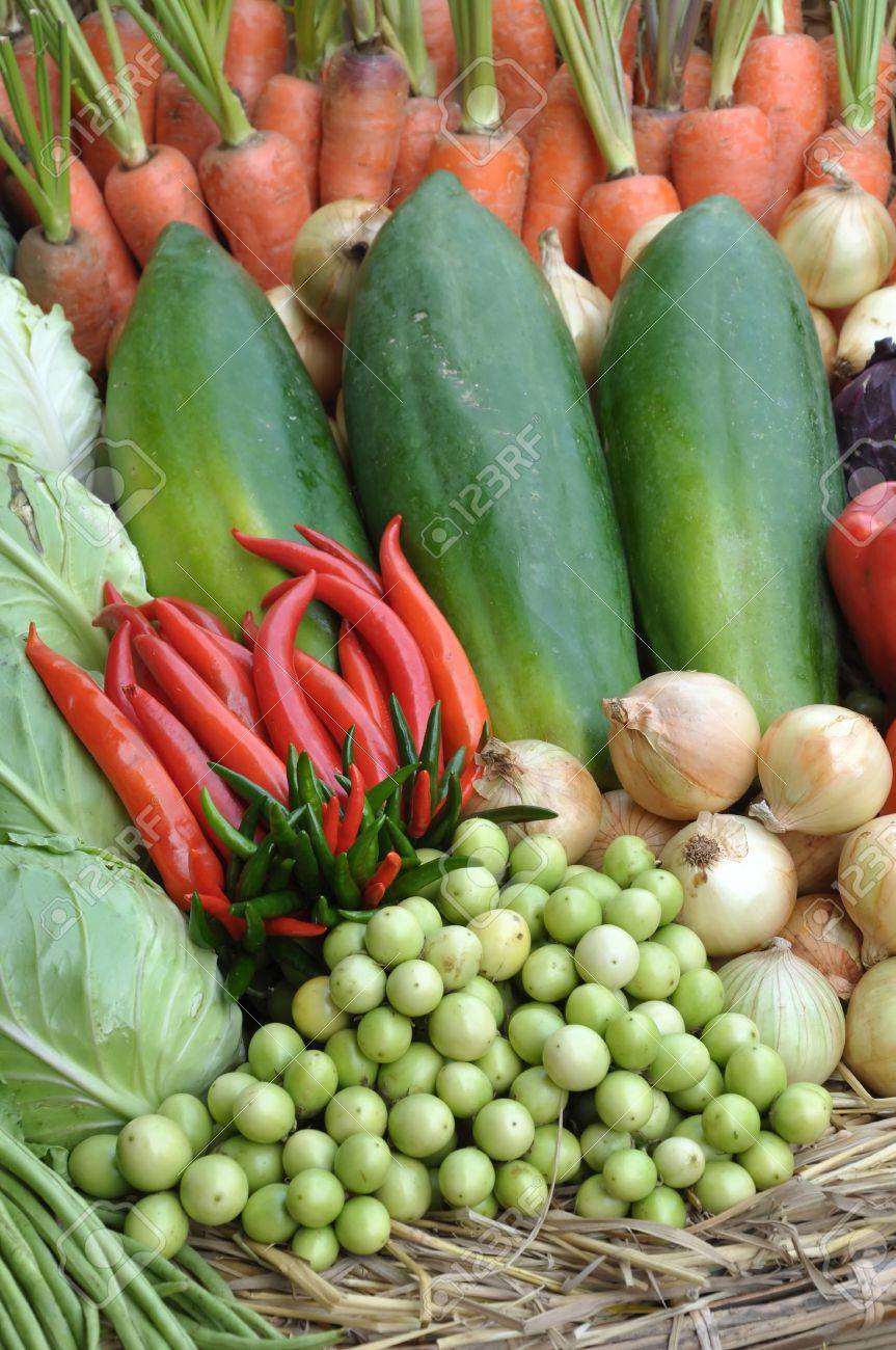 The noun vegetable usually means an edible plant or part of a plant other than a sweet fruit or seed. This usually means the leaf, stem, or root of a plant. - 8623447 The noun vegetable usually means an edible plant or part of a plant other than a sweet fruit or seed. This usually means the leaf, stem, or root of a plant. - 8623447