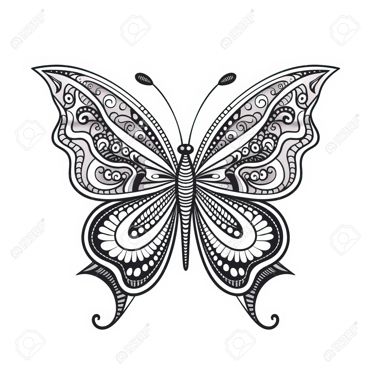 Adult Butterfly Coloring Pages Stock Photo, Picture and Royalty Free Image.  Image 210073819., image size:1300x1300