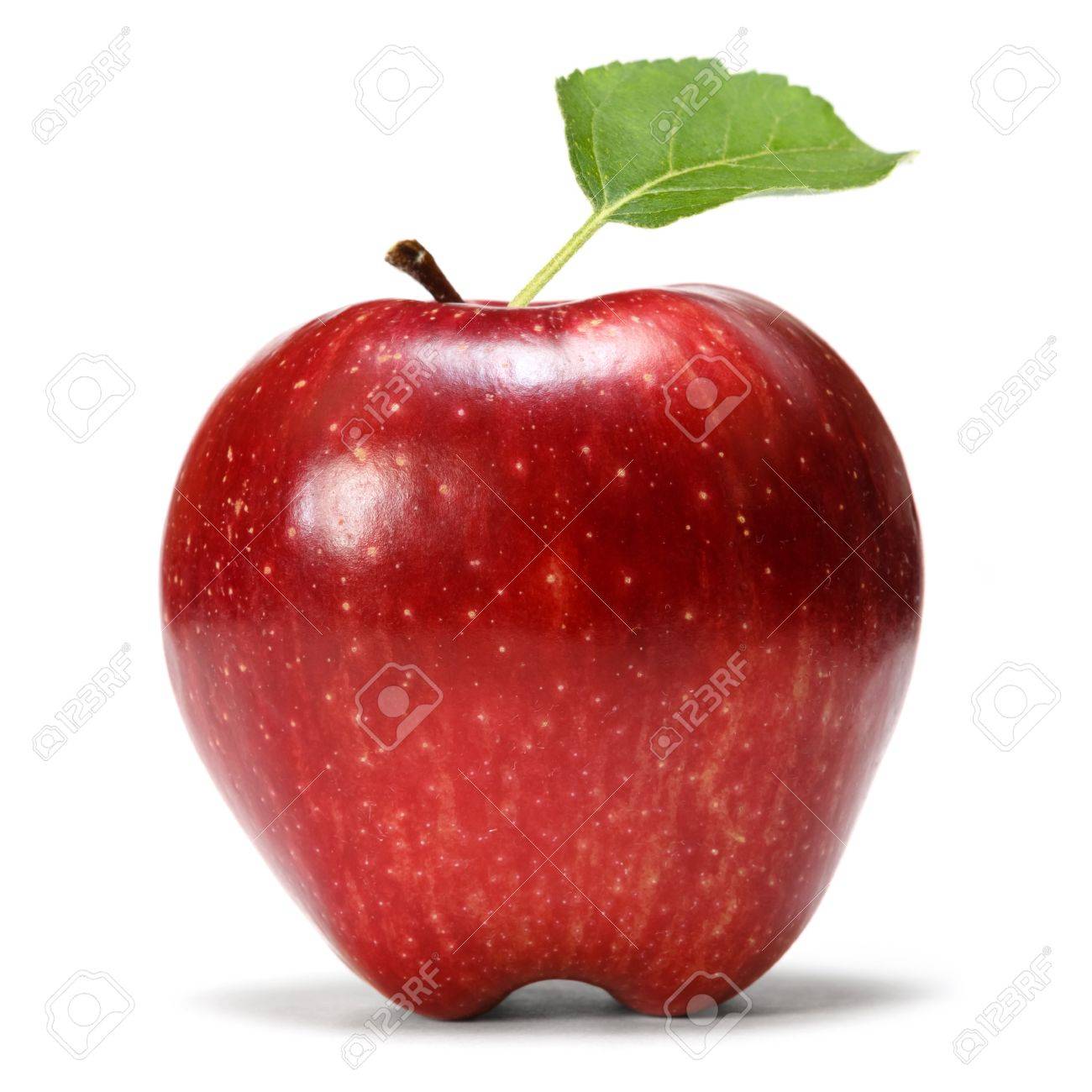 Red Apple With Leaf Stock Photo Picture And Royalty Free Image Image Red Apple With Leaf Stock Photo Picture And Royalty Free Image Image