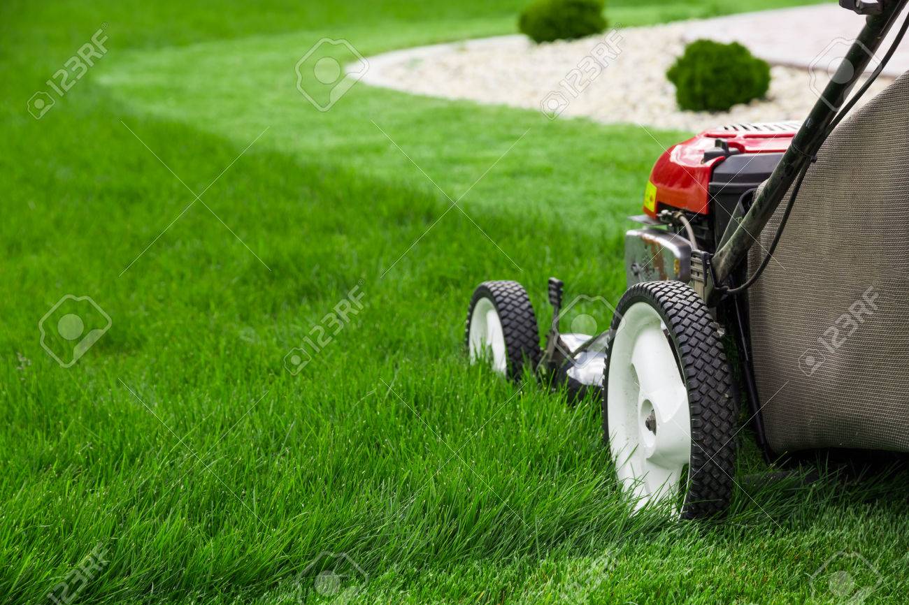 lawn mower