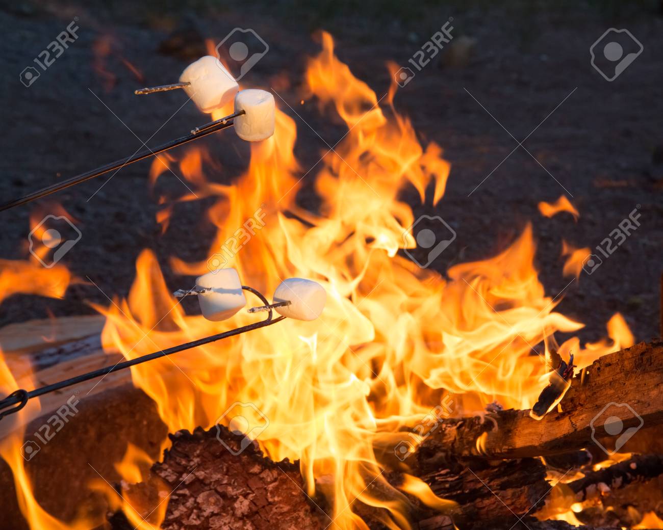 marshmallows roasting over campfire stock photo picture and royalty