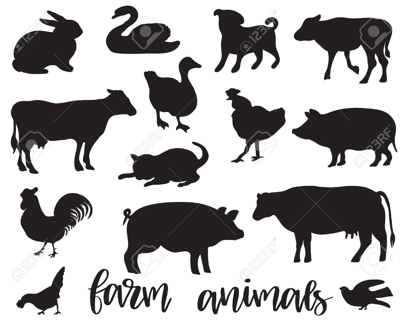 Farm Animals Vector Set. Black Silhouettes On A White Background. Goat, Cow, Pig, Boar, Goose, Duck, Rooster, Chicken, Pigeon, Cat, Dog, Swan, Bull, Calf Royalty Free SVG, Cliparts, Vectors, And Stock Illustration. Farm Animals Vector Set. Black Silhouettes On A White Background. Goat, Cow, Pig, Boar, Goose, Duck, Rooster, Chicken, Pigeon, Cat, Dog, Swan, Bull, Calf Royalty Free SVG, Cliparts, Vectors, And Stock Illustration.