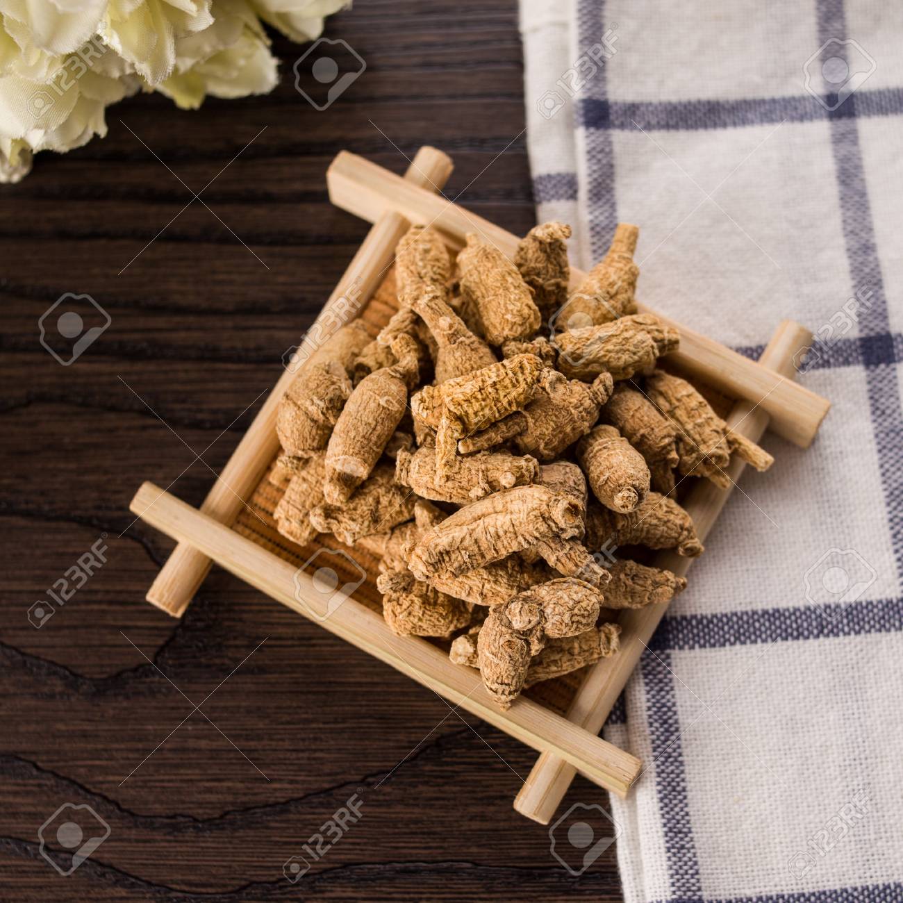 etiam-dictum-ipsum-a-felis