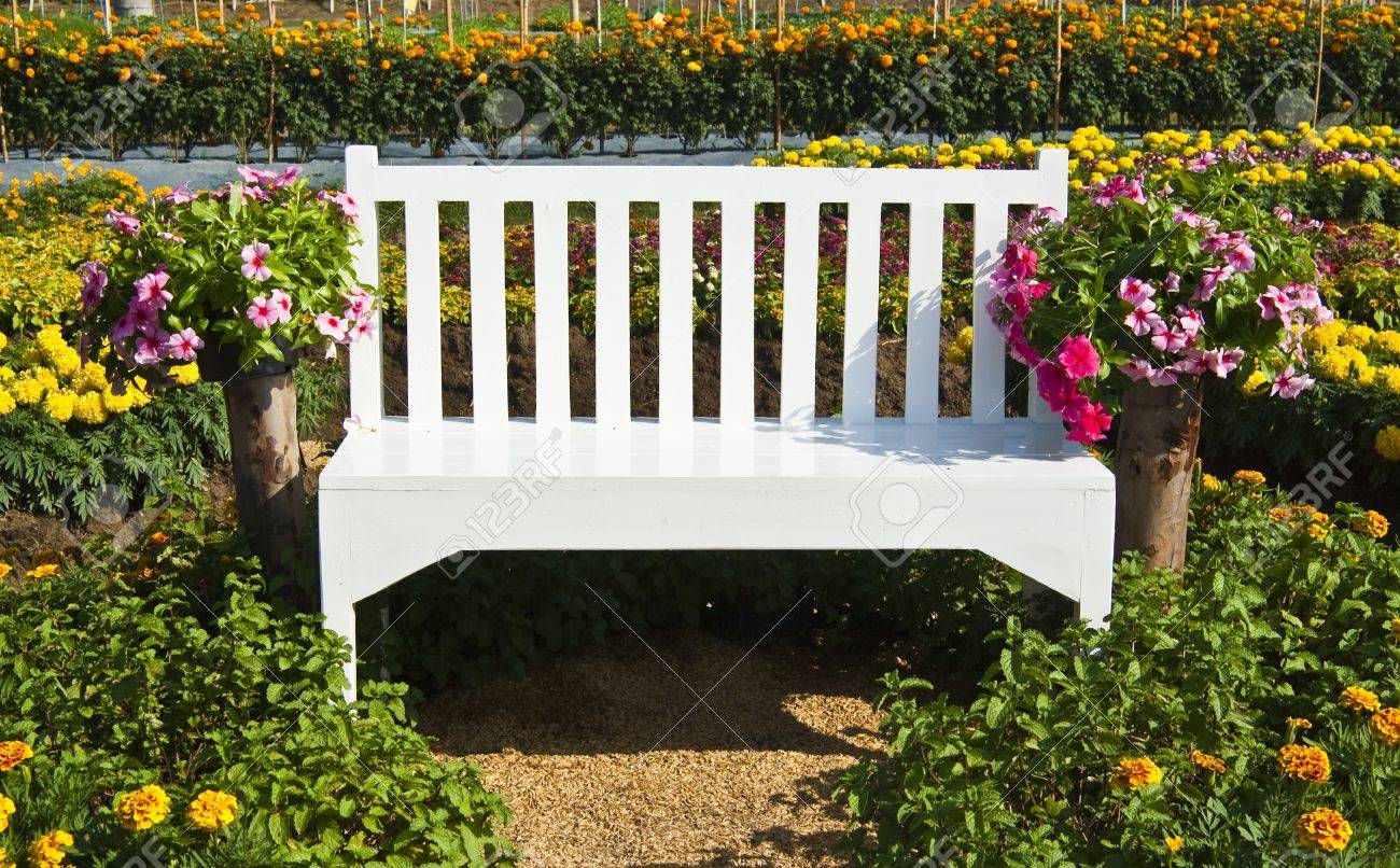 flower garden with bench