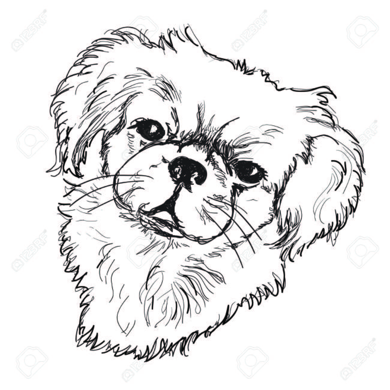 犬の絵を描くベクトルイラスト のイラスト素材 ベクタ Image