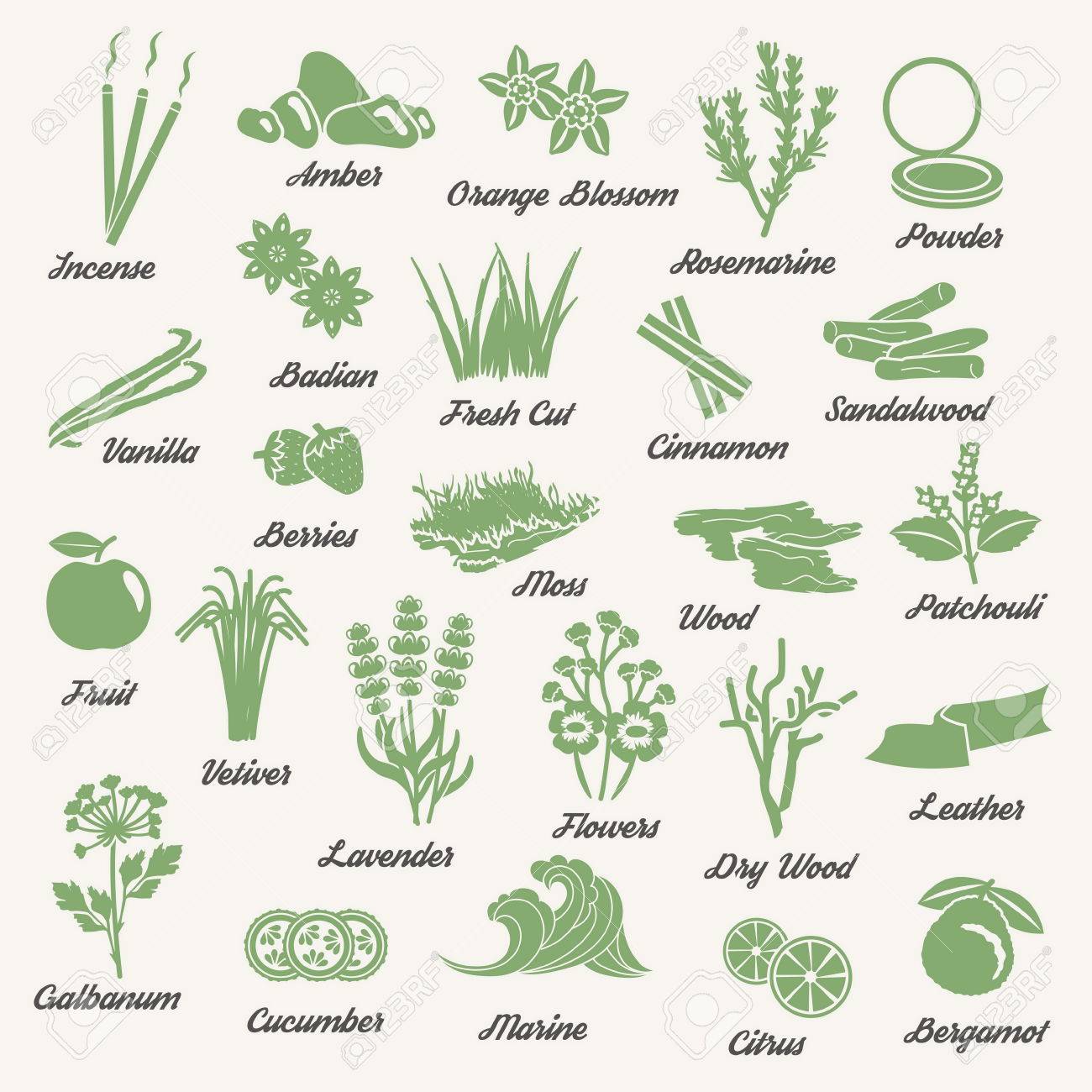 Collection Dicônes Dune Couleur Pour Plantes Aromatiques Herbas Et Bois Pour La Production Dhuiles Essentielles Ingrédients Darôme De Parfum - 