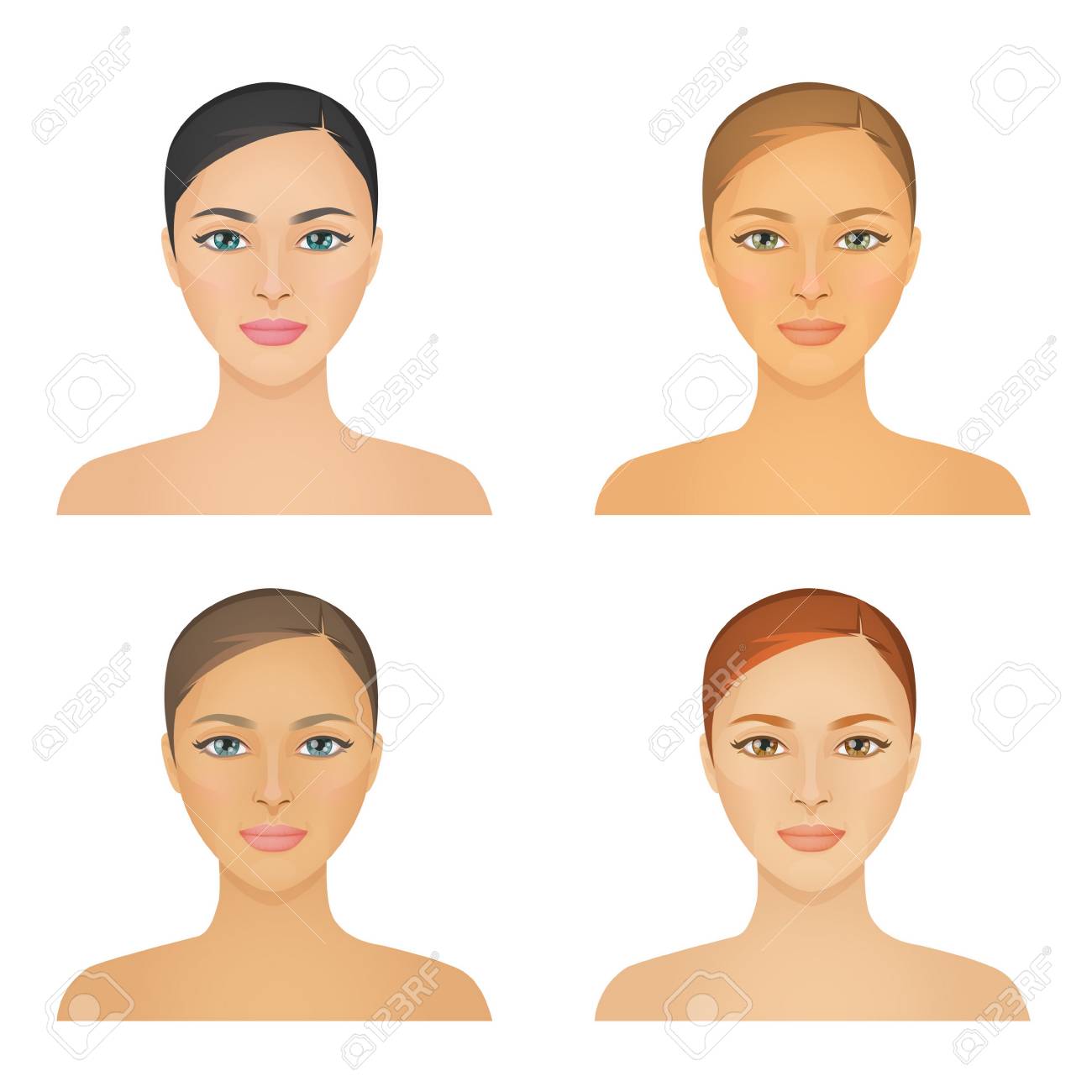 Human appearence information chart showing various kinds of women looks color types, hight and low contrast types, various skintones, hair and eyes. - 83921013 Human appearence information chart showing various kinds of women looks color types, hight and low contrast types, various skintones, hair and eyes. - 83921013