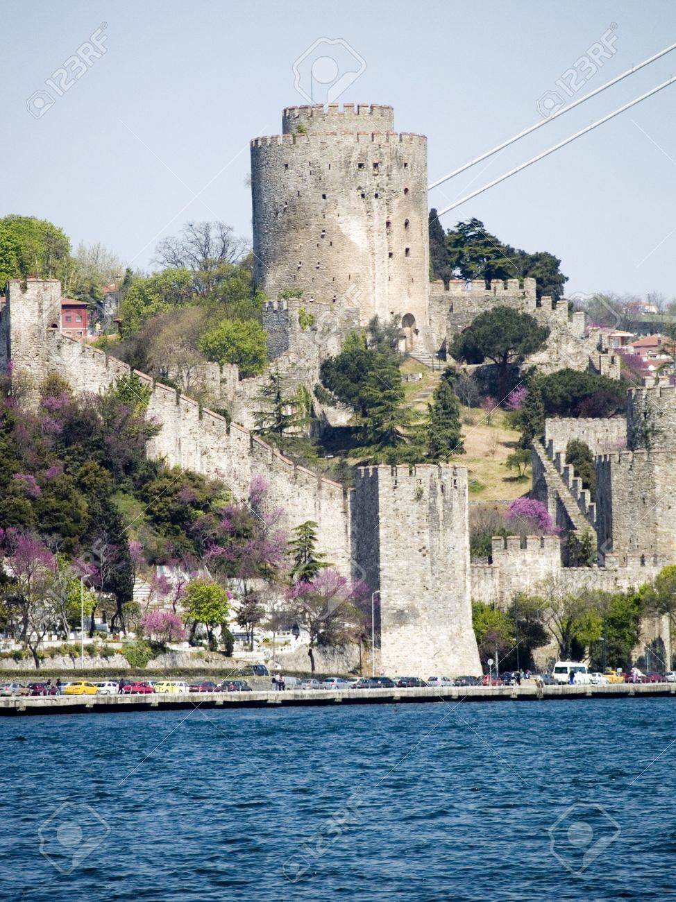 etiam-dictum-ipsum-a-felis