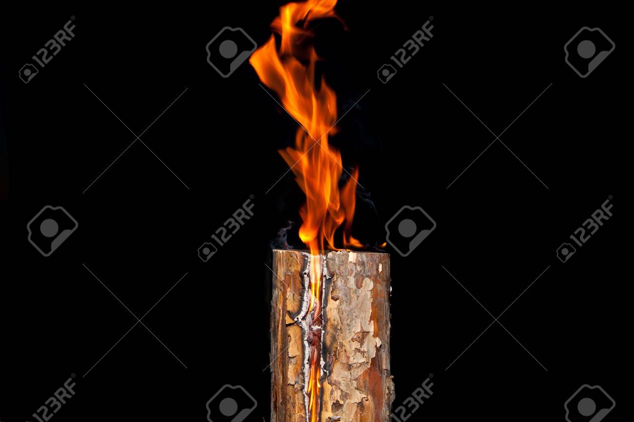 Burning Pine Log On A Black Background Stock Photo, Picture And Royalty  Free Image. Image 14488424.