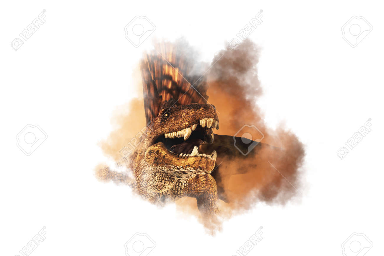 etiam-dictum-ipsum-a-felis