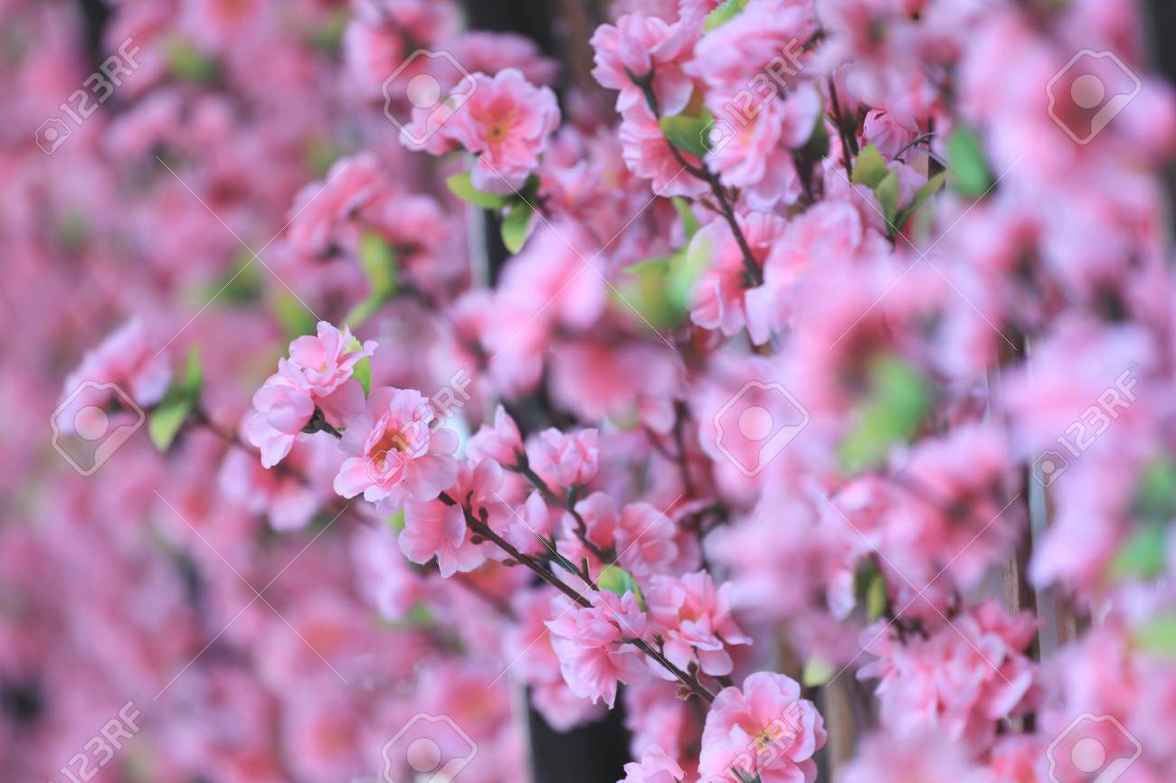 Artificial Pink Cherry Blossoms Sakura Flower In Place