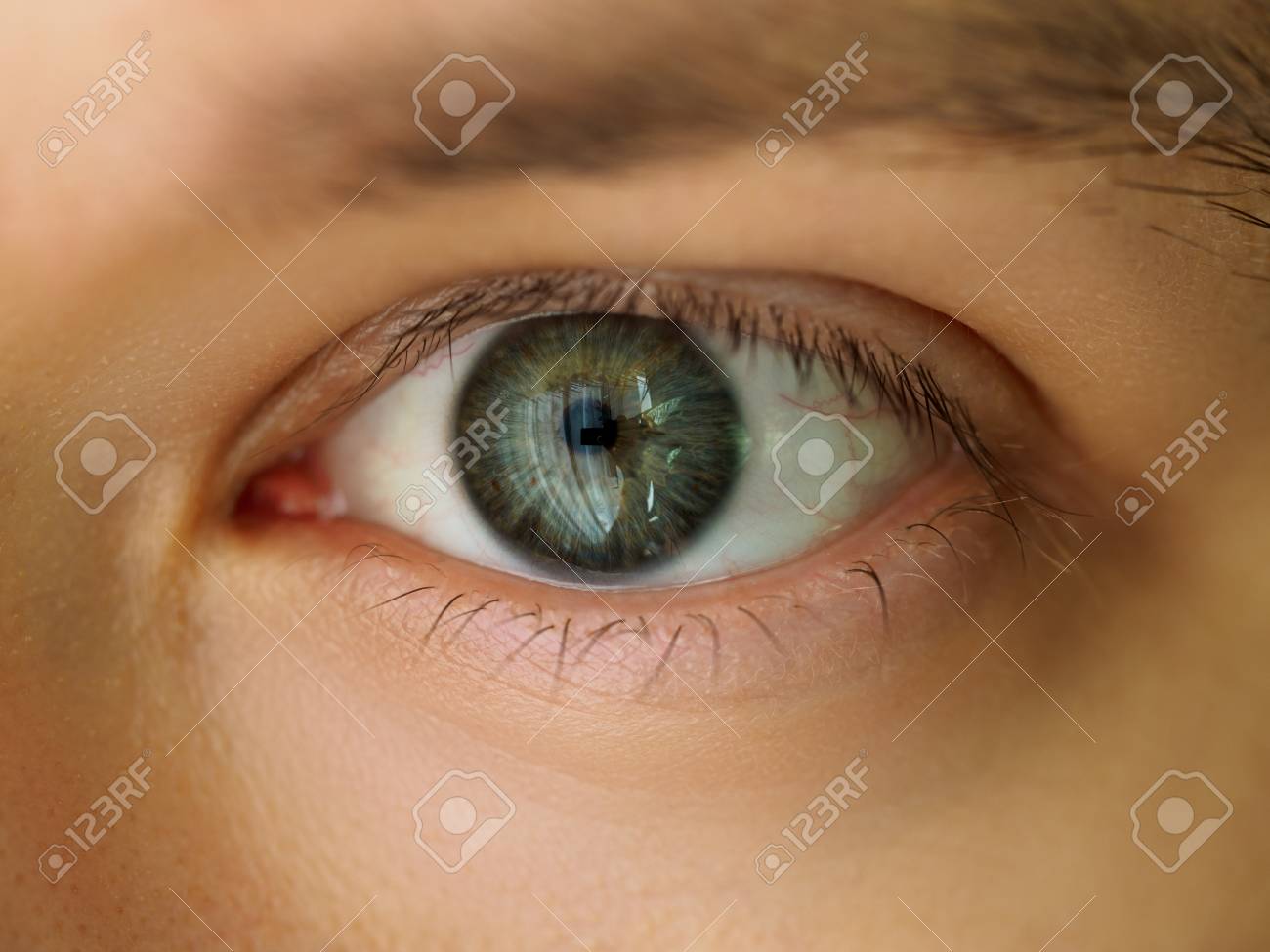 男性左エメラルド グリーン色は 極端なクローズ アップを目します Oculist と完璧なビジョン コンタクト レンズの概念 の写真素材 画像素材 Image 男性左エメラルド グリーン色は 極端なクローズ アップを目します Oculist と完璧なビジョン コンタクト レンズの概念 の写真素材 画像素材 Image