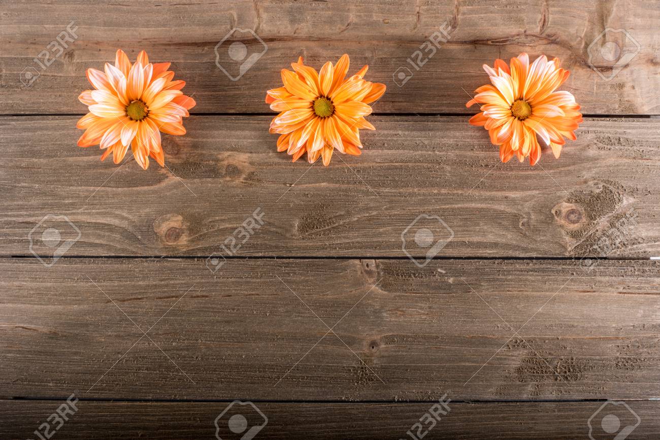 スペースと木の背景にオレンジ色の花を 3 つ の写真素材 画像素材 Image