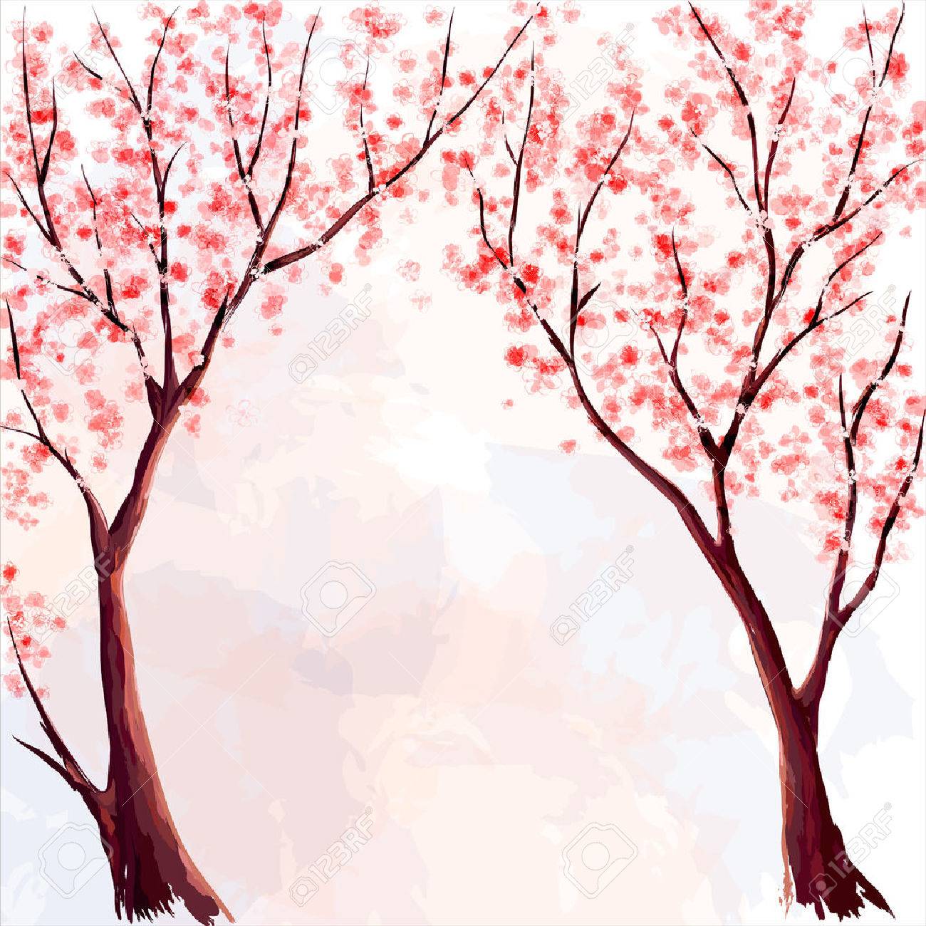cherry blossom watercolor illustration royalty free cliparts