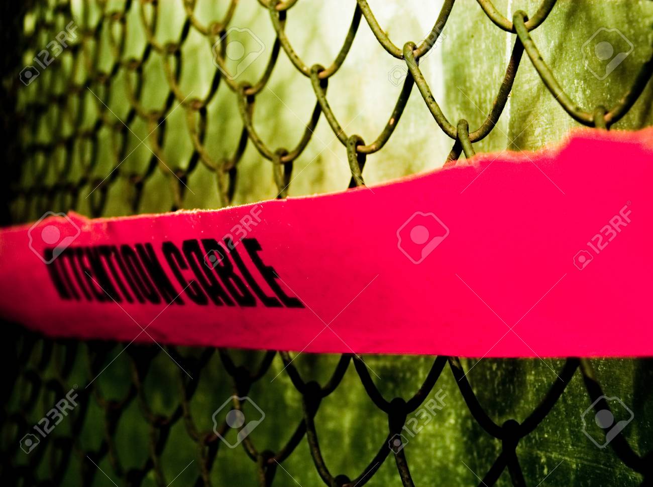 etiam-dictum-ipsum-a-felis