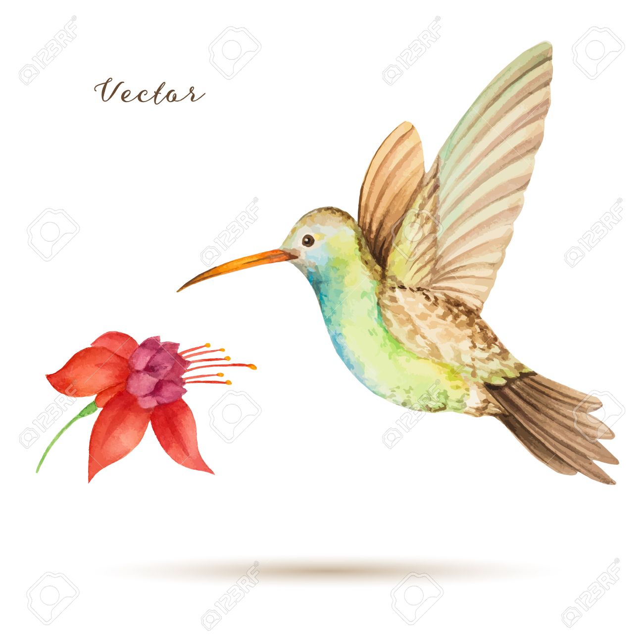 ハチドリと花のアクリル画 Hummingbird 原画　アート ハチドリと花シリーズ - AIアート - ショップ Art,set go Shop