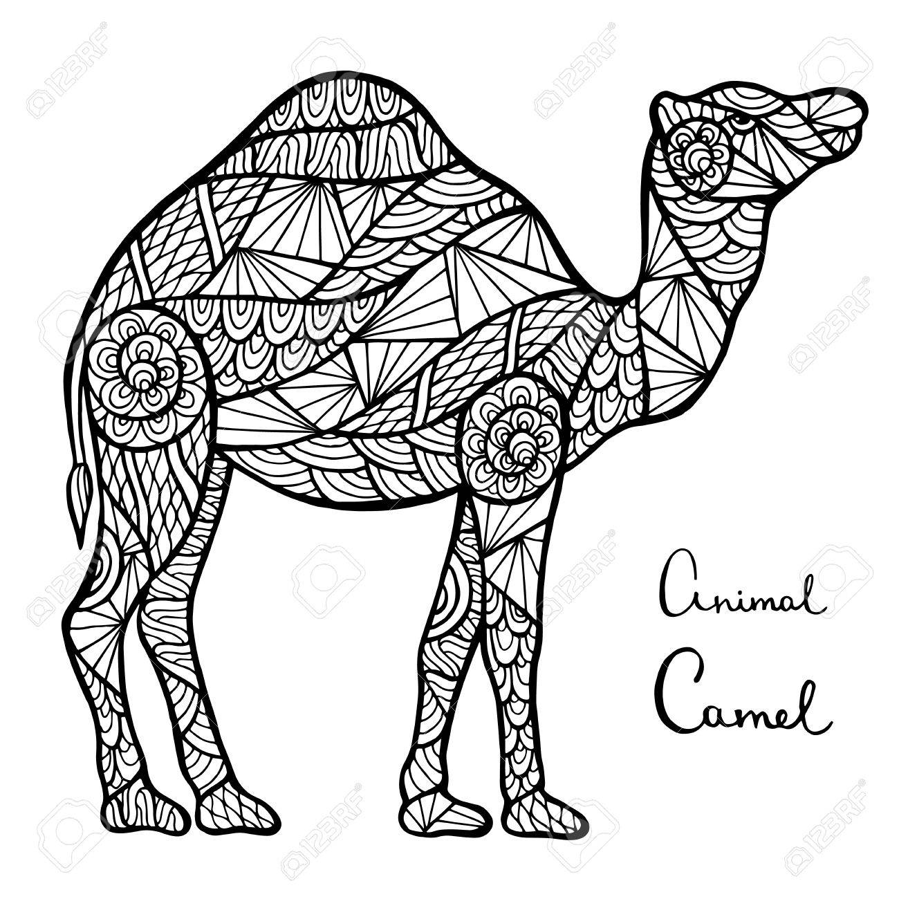 stylized vector camel zentangle isolated on white background zentangle animals