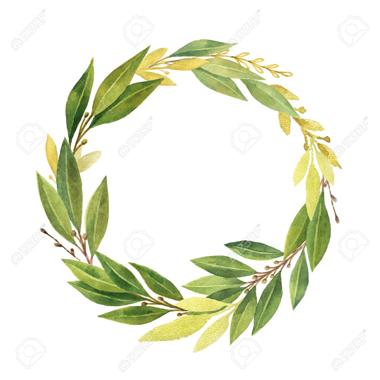 watercolor bay leaf wreath isolated on white background stock photo