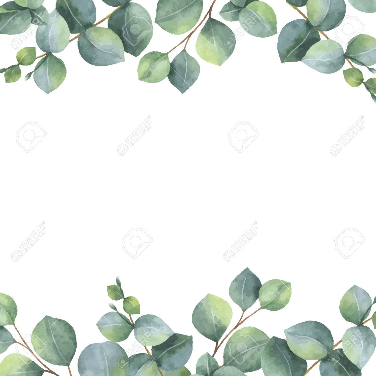 Watercolor Vector Green Floral Card With Silver Dollar Eucalyptus