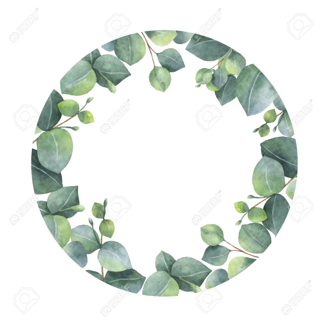 水彩ベクトル フレーム グリーンのユーカリの葉と枝 のイラスト素材 ベクタ Image