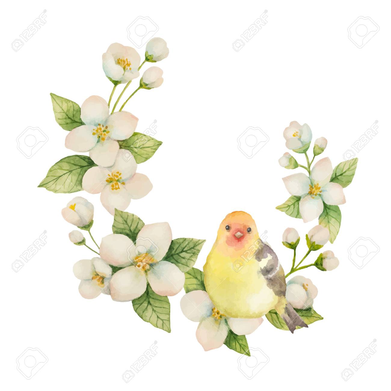 白い背景に隔離された鳥と花ジャスミンと水彩ベクトルリース。デザイン  