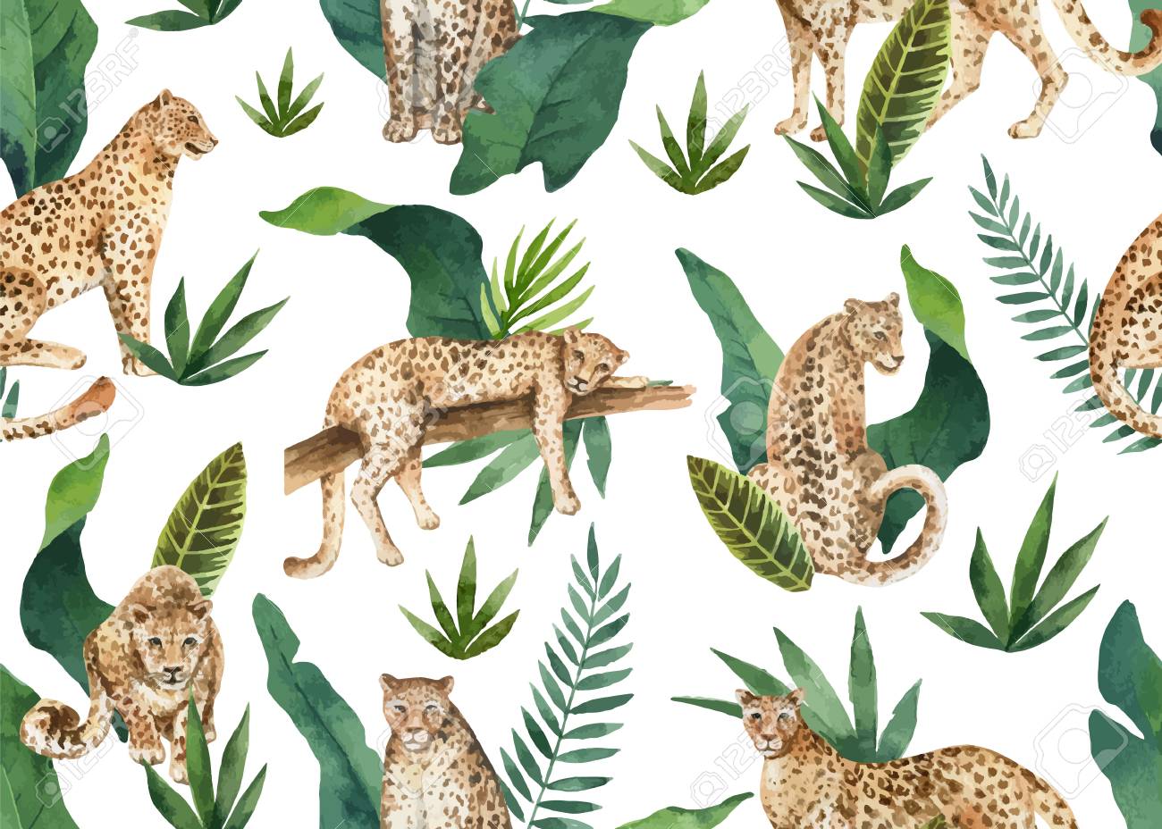 Watercolor vector seamless pattern of tropical leaves and leopards in jungle isolated on white background. Illustration for design textile, wrapping paper, postcards. Trendy style. - 116289520 Watercolor vector seamless pattern of tropical leaves and leopards in jungle isolated on white background. Illustration for design textile, wrapping paper, postcards. Trendy style. - 116289520