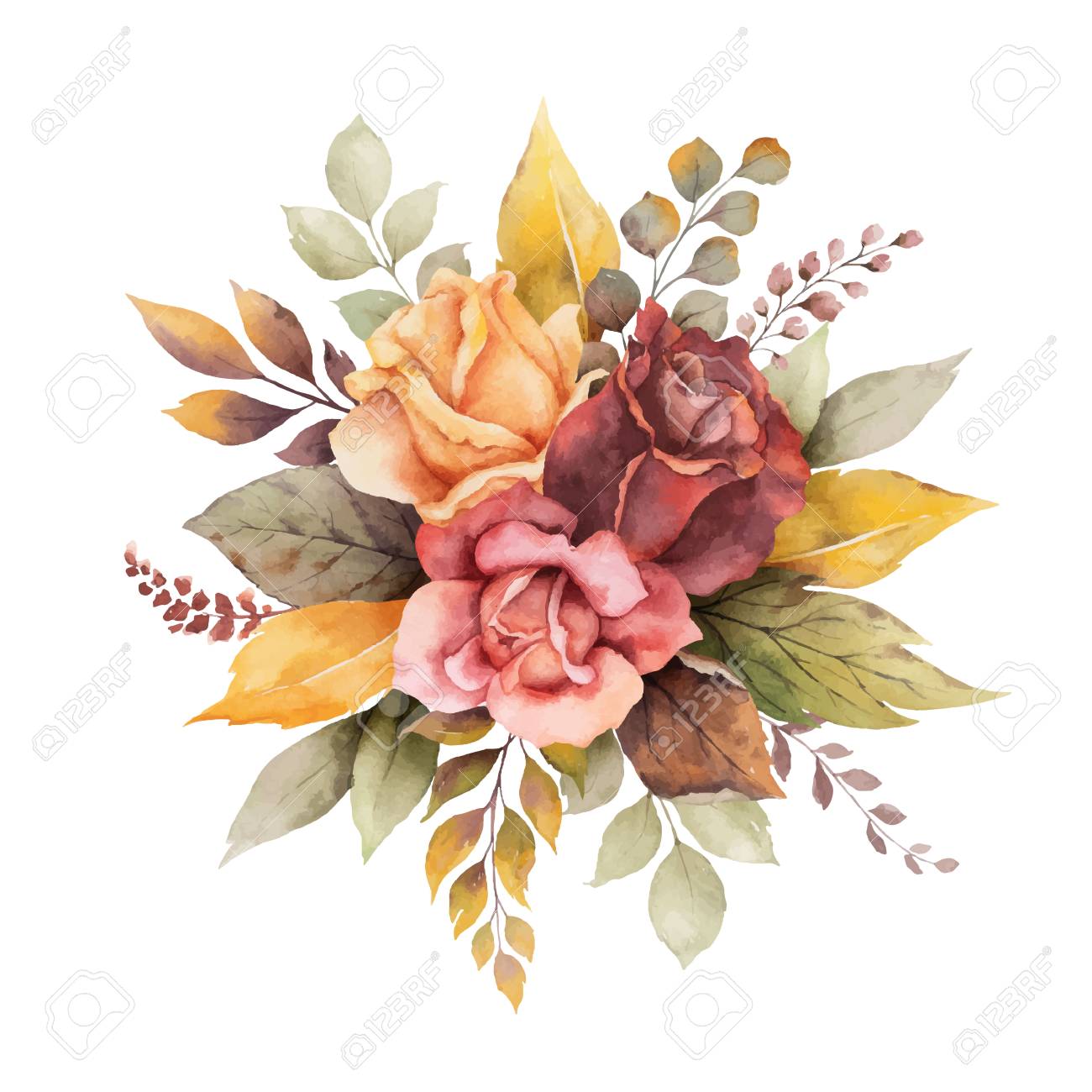 Watercolor vector autumn arrangement with roses and leaves isolated on white background. Botanic composition for greeting cards, wedding invitations, floral poster and decorations. - 130047533 Watercolor vector autumn arrangement with roses and leaves isolated on white background. Botanic composition for greeting cards, wedding invitations, floral poster and decorations. - 130047533