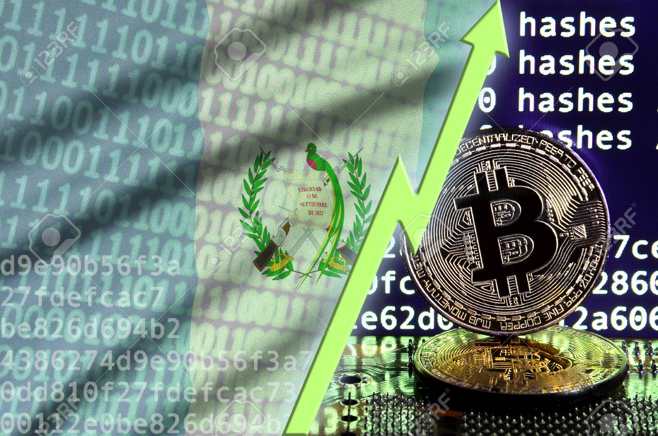 비트코인 채굴 화면에 과테말라 국기와 상승하는 녹색 화살표와 두 개의 물리적 황금 비트코인. 암호 화폐 마이닝에서 높은 전환의 개념  로열티 무료 사진, 그림, 이미지 그리고 스톡포토그래피. Image 119247916