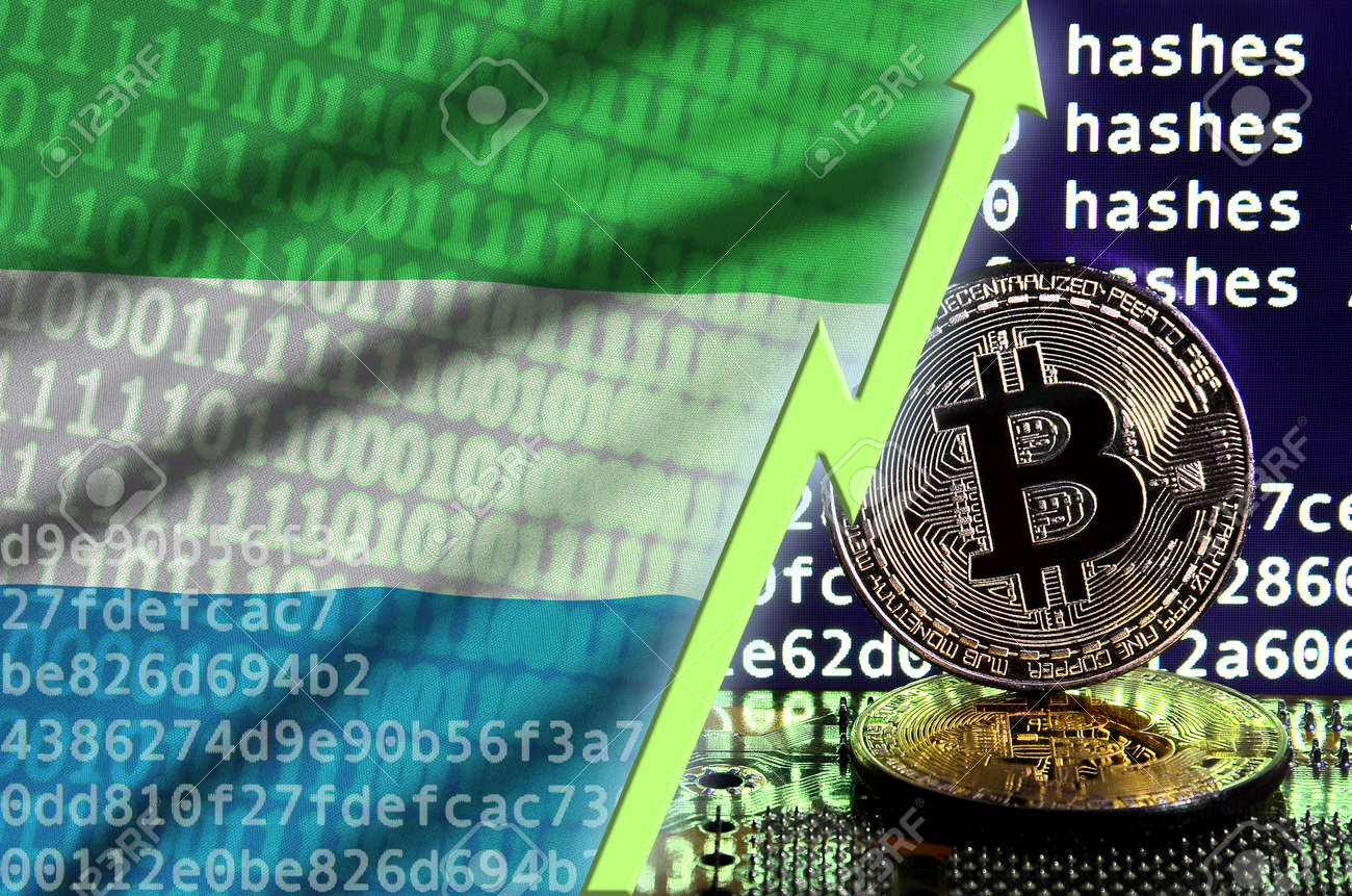 비트코인 채굴 화면의 시에라리온 깃발과 상승하는 녹색 화살표, 암호화폐 채굴에서 높은 전환율을 나타내는 두 개의 물리적 황금 비트코인  개념 로열티 무료 사진, 그림, 이미지 그리고 스톡포토그래피. Image 119188808