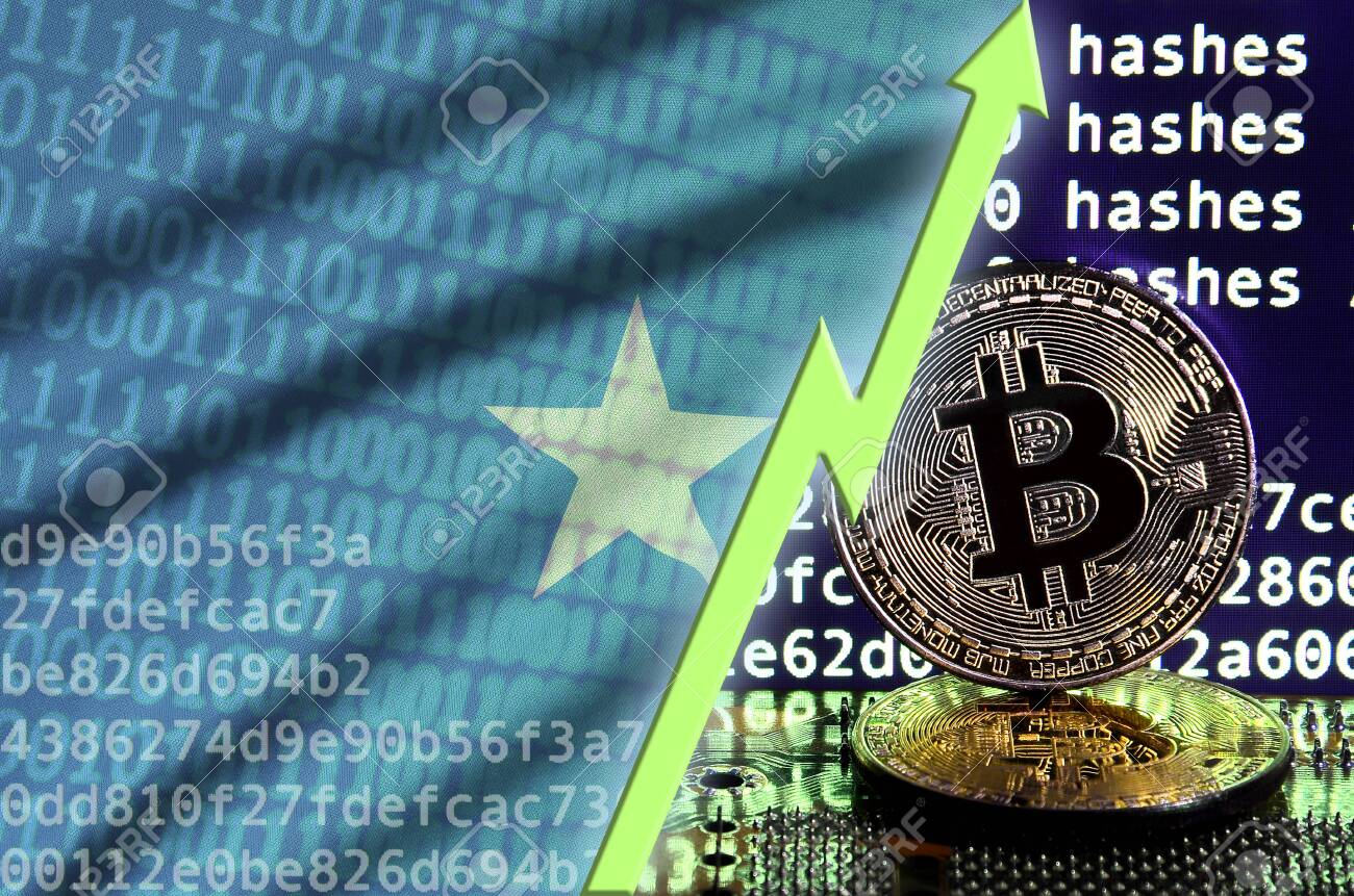 비트코인 채굴 화면에 소말리아 국기와 상승하는 녹색 화살표와 두 개의 물리적 황금 비트코인. 암호 화폐 마이닝에서 높은 전환의 개념  로열티 무료 사진, 그림, 이미지 그리고 스톡포토그래피. Image 119265447