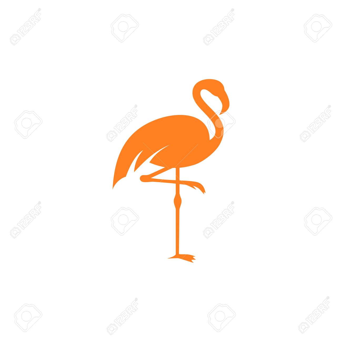flamingo template stock photo picture and royalty free image image