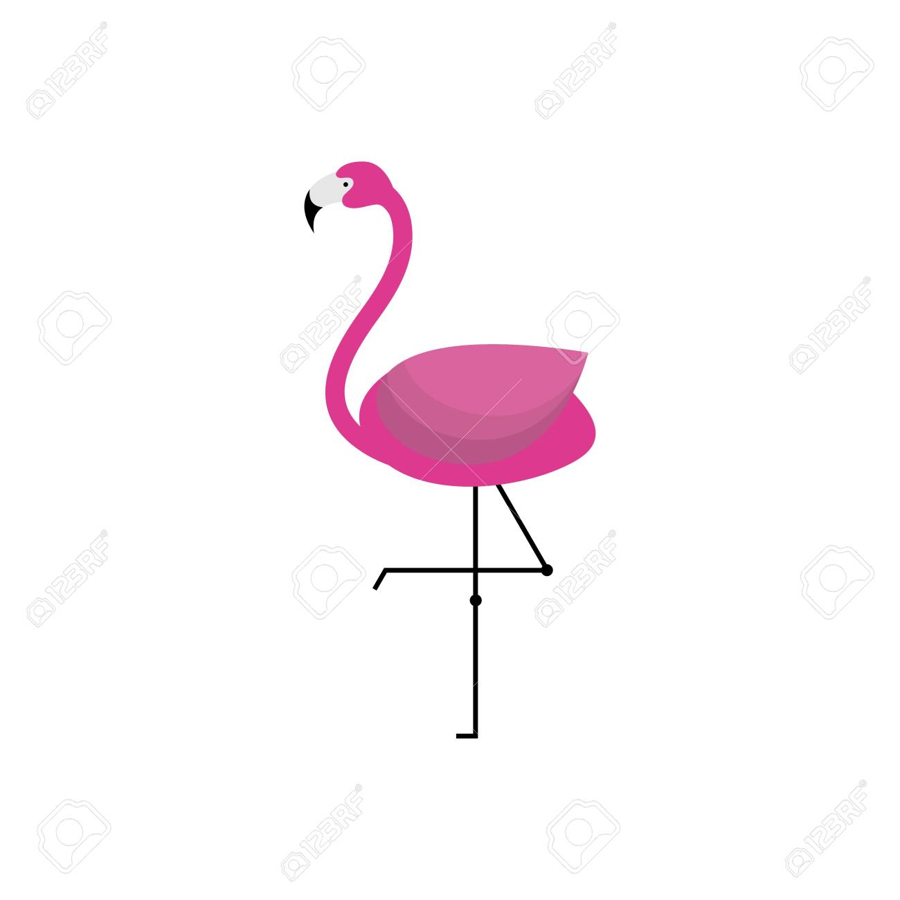 flamingo template stock photo picture and royalty free image image