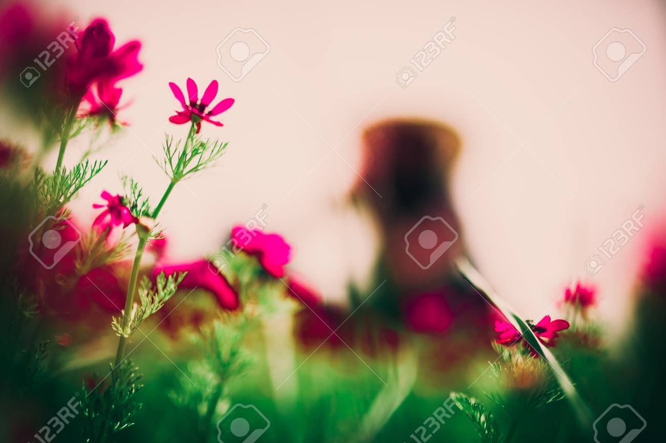 春に無料女性 の写真素材 画像素材 Image 7984