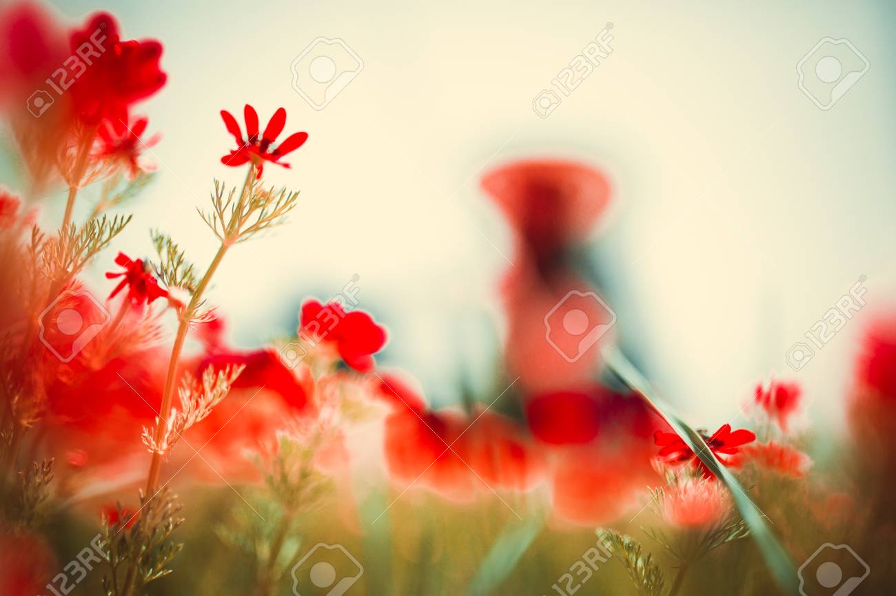 トップ100 春 無料 素材 花の画像