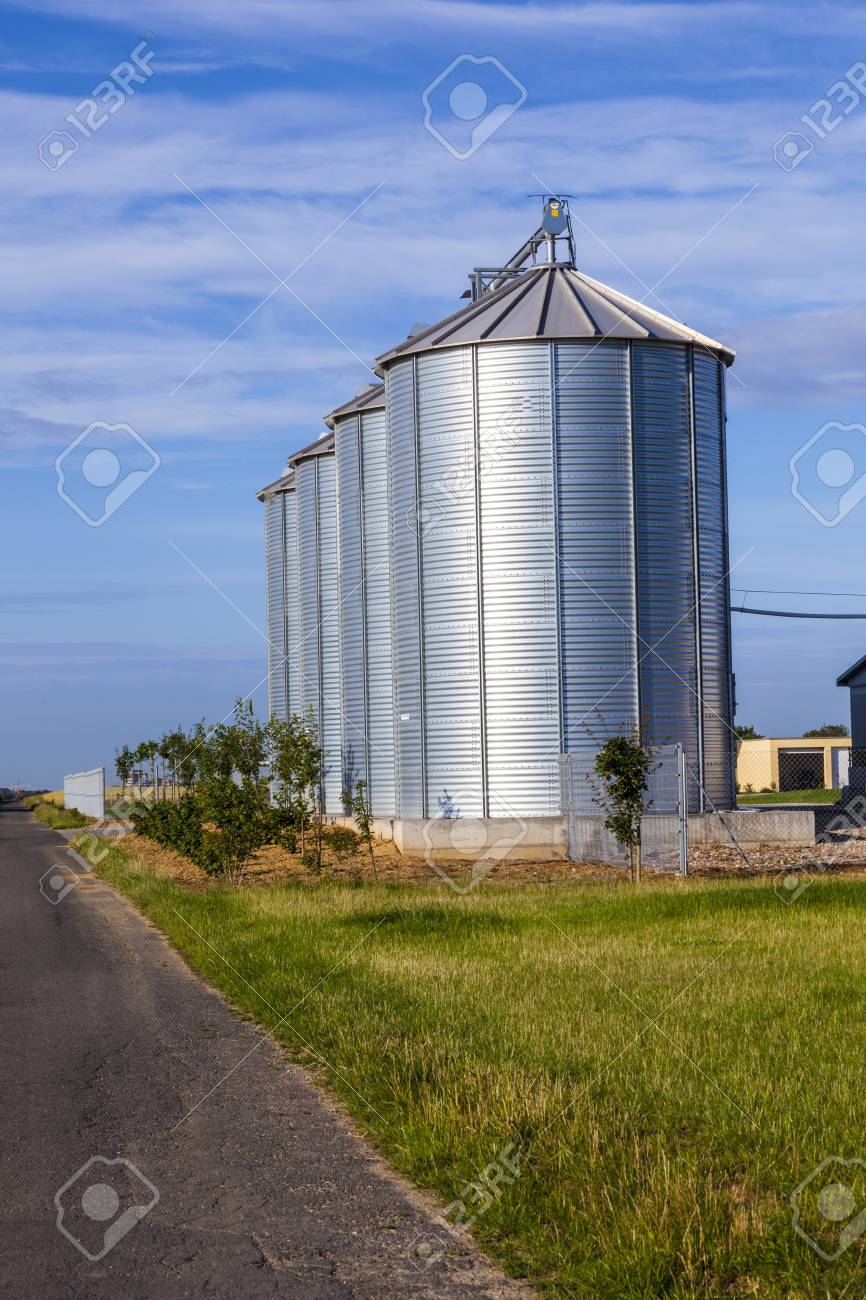four silver silos in corn field stock photo picture and royalty corn silo