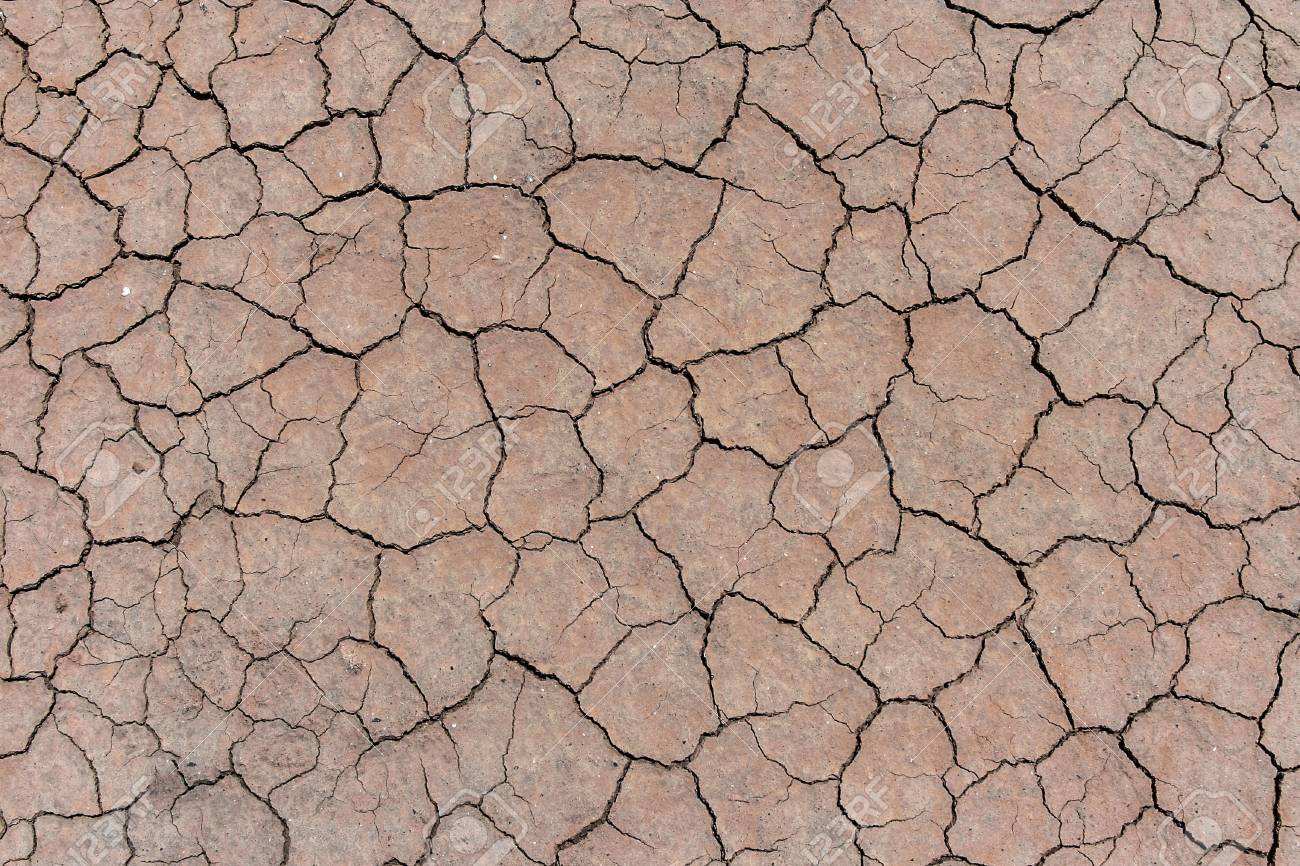 Cracked And Dried Mud Texture Stock Photo, Picture and Royalty Free Image.  Image 98367888.