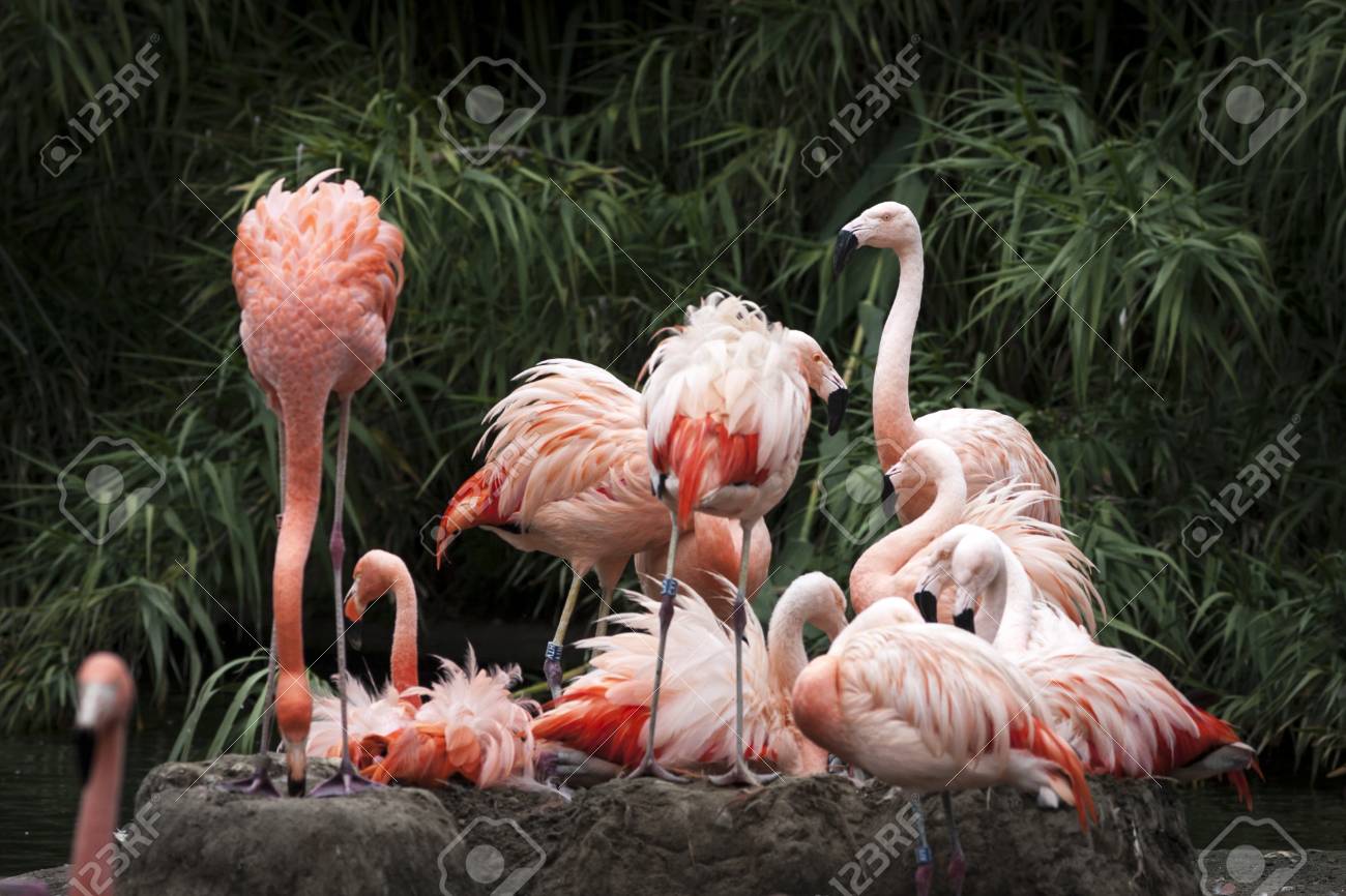 etiam-dictum-ipsum-a-felis