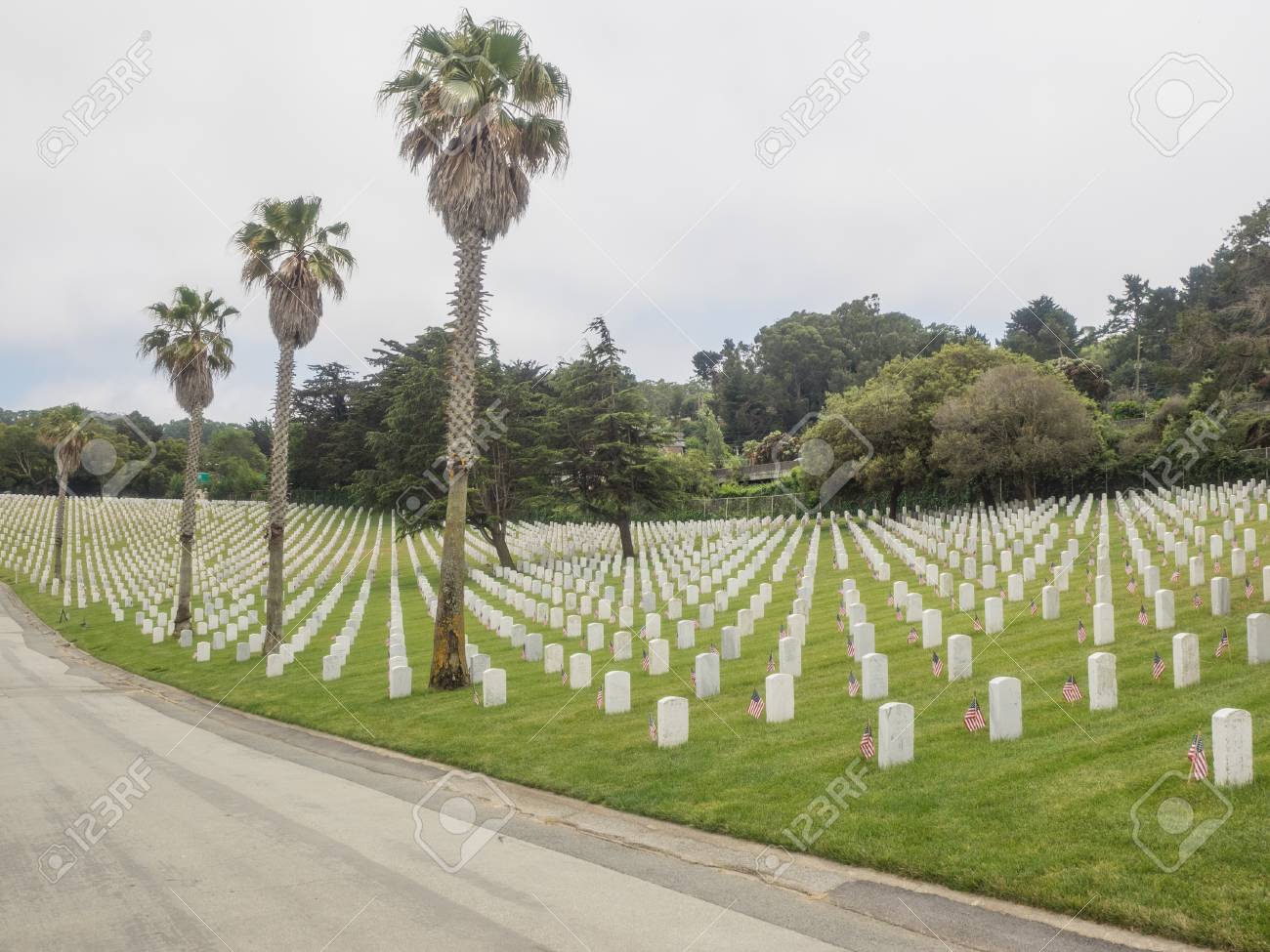 Memorial Day Observance At Golden Gate National Cemetery In San Stock Photo Picture And Royalty Free Image Image