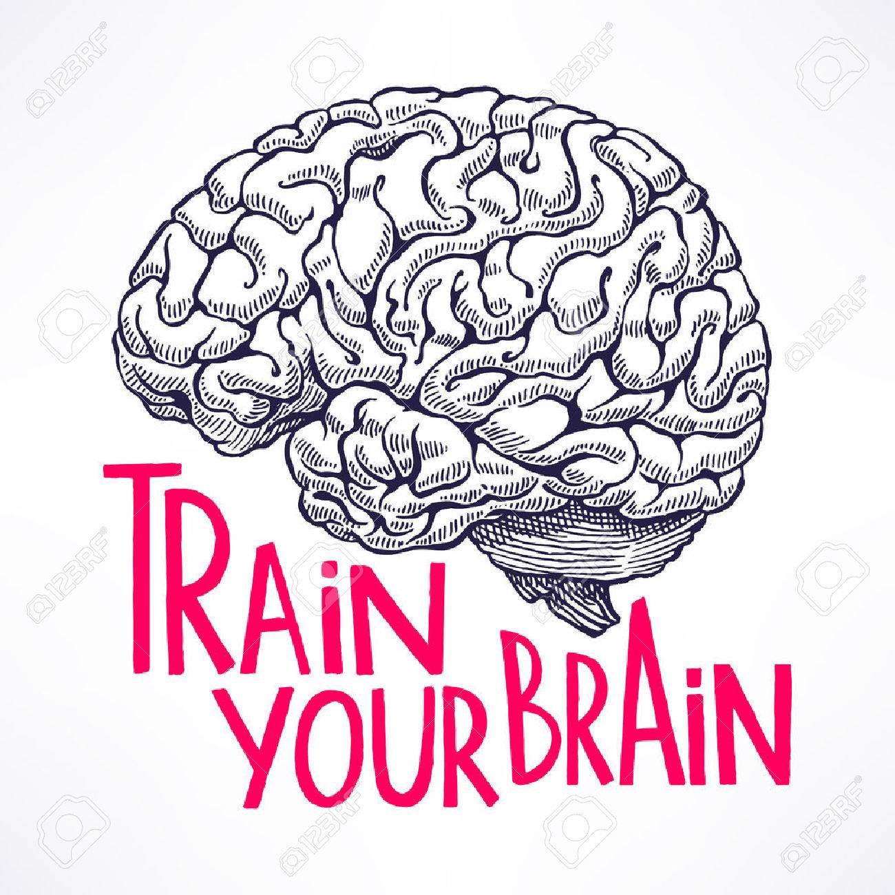 Train your brain. beautiful card with a human brain and motivational quote. hand-drawn illustration - 44907991 Train your brain. beautiful card with a human brain and motivational quote. hand-drawn illustration - 44907991
