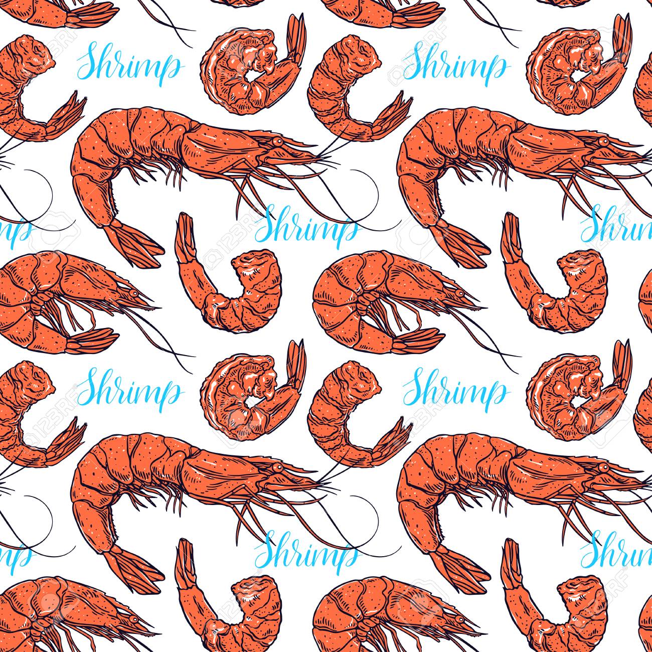 調理異なるエビのかわいいシームレスな背景 手描きのイラスト のイラスト素材 ベクタ Image 調理異なるエビのかわいいシームレスな背景 手描きのイラスト のイラスト素材 ベクタ Image