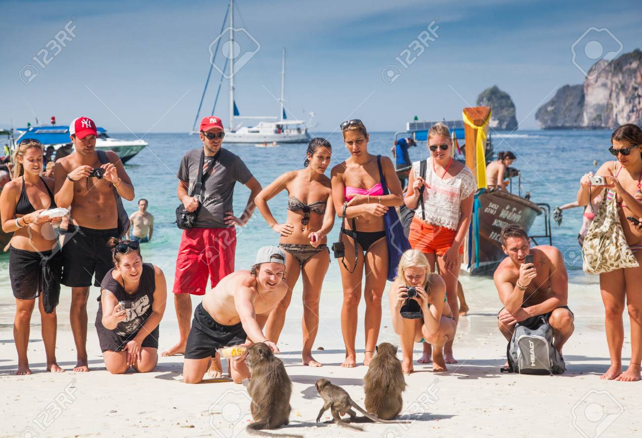 Ko Phi Phi Tailandia 1 De Febrero De 2014 Turistas Alimentando Monos Atracción Principal De Las Islas Phi Phi Monkey Bay Ao Ling Tailandia Fotos Retratos Imágenes Y Fotografía De Archivo Libres