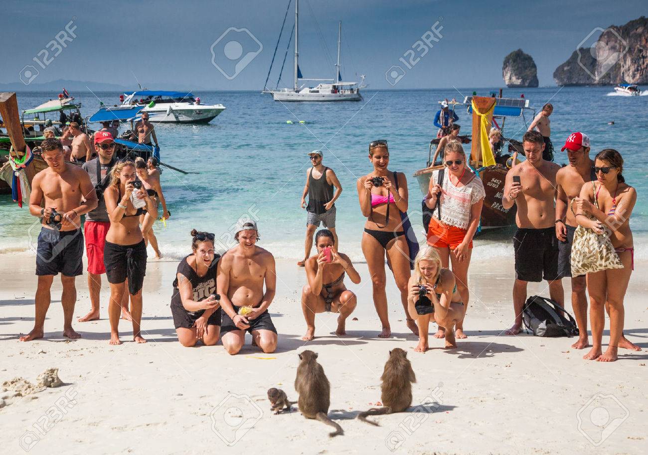 Ko Phi Phi Tailandia 1 De Febrero De 2014 Turistas Alimentando Monos Atracción Principal De Las Islas Phi Phi Monkey Bay Ao Ling Tailandia Fotos Retratos Imágenes Y Fotografía De Archivo Libres