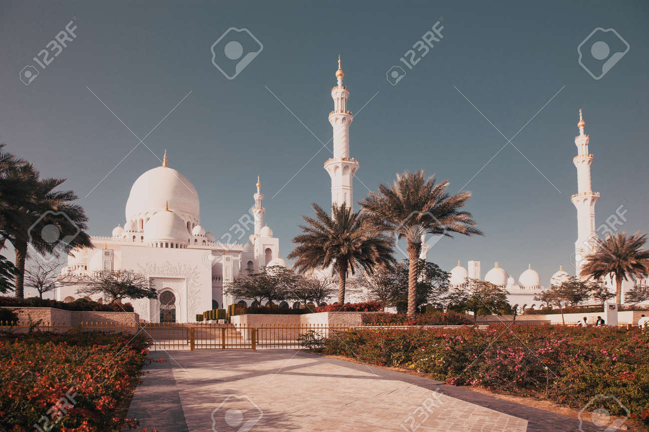 etiam-dictum-ipsum-a-felis