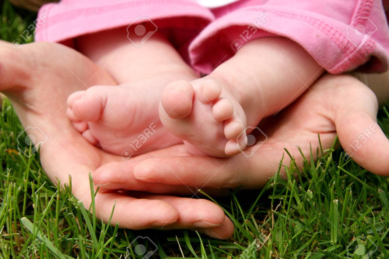 mother's hands cradling her infant daughter's feet - 1484136 mother's hands cradling her infant daughter's feet - 1484136