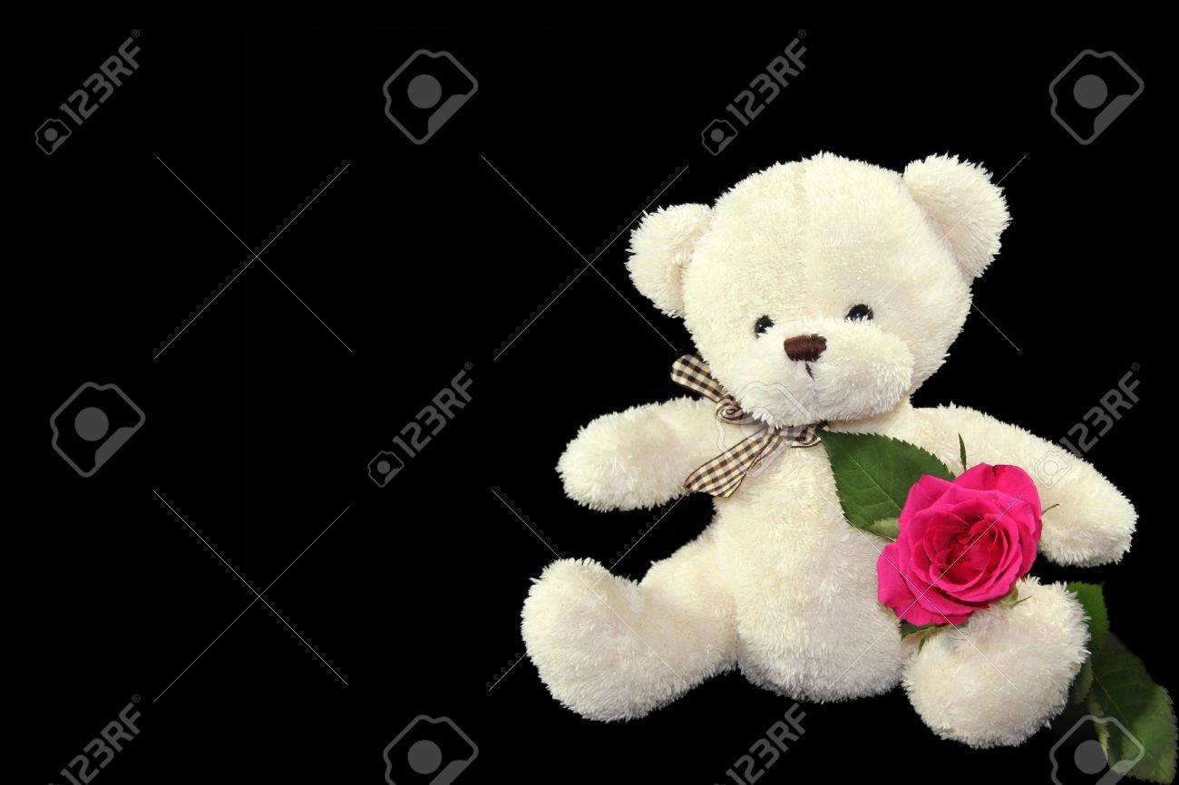 teddy bear black
