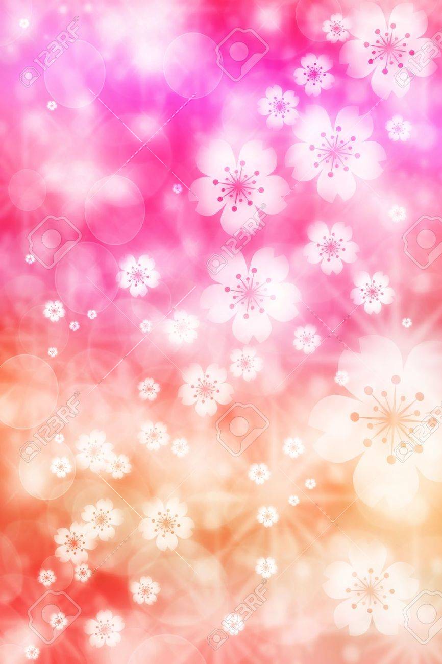 ピンクとオレンジ色の桜の花の背景 の写真素材 画像素材 Image