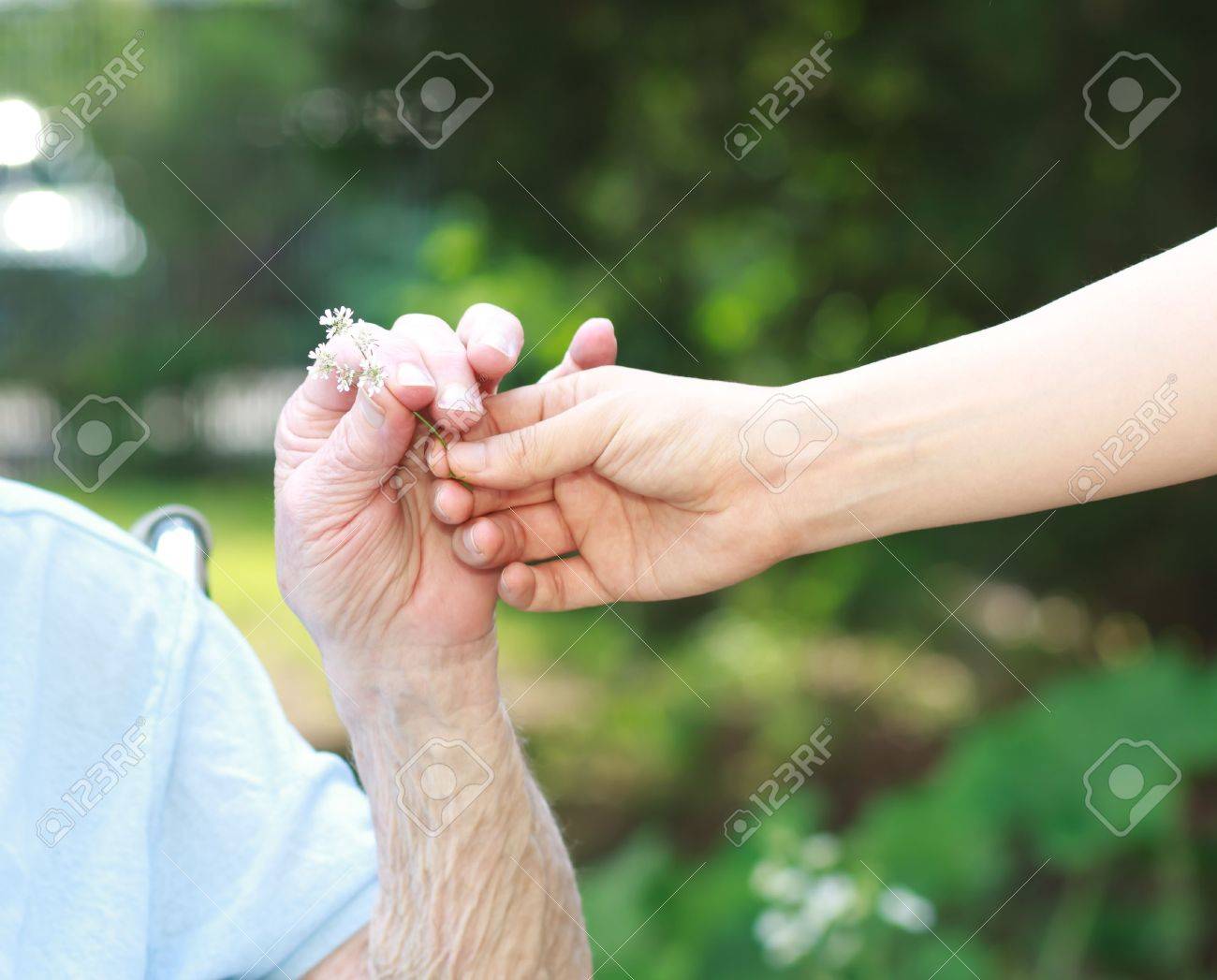 giving a white flower to senior lady outside stock photo picture