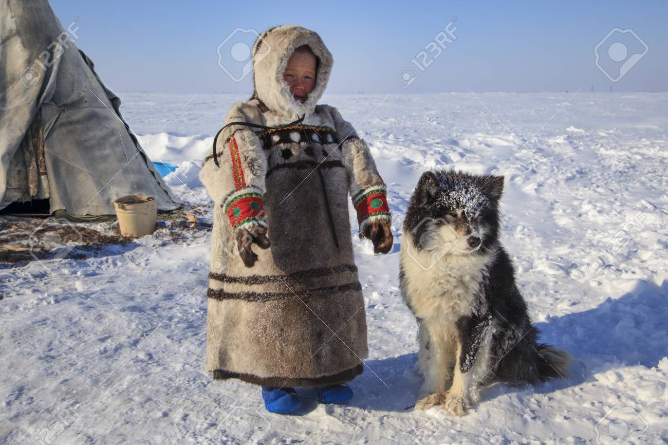 tundra dog